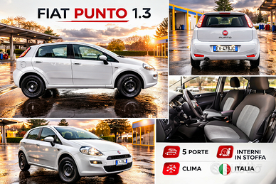 Fiat Punto Mjt