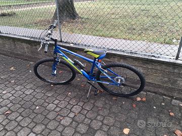 bicicletta donna