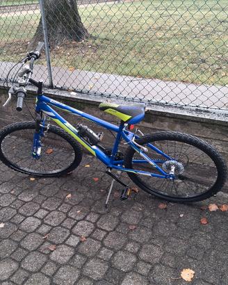 bicicletta donna