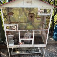 Voliera uccelli gabbia