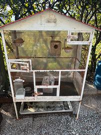 Voliera uccelli gabbia