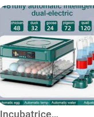 incubatrice automatica 49 uova