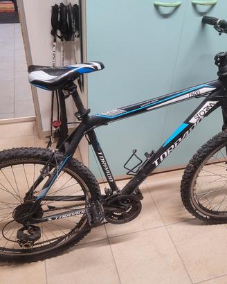 mountain bike