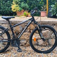 Bici bambino