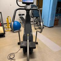 Stepper elettrico professionale