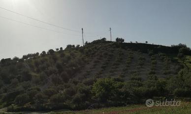 Terreno in periferia di Delia (Di fronte Casa di R