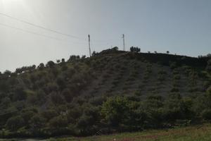 Terreno in periferia di Delia (Di fronte Casa di R