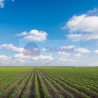 Terreno Agricolo - Aviano