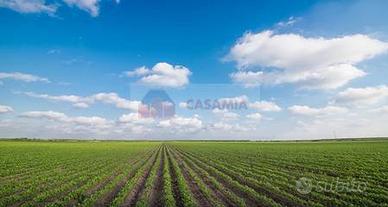 Terreno Agricolo - Aviano