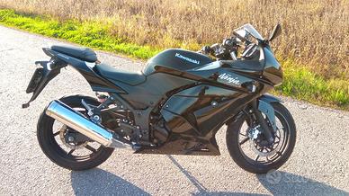 Kawasaki Ninja 250 R