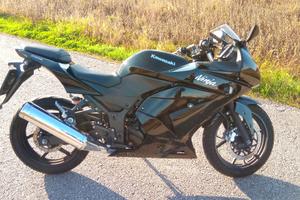 Kawasaki Ninja 250 R