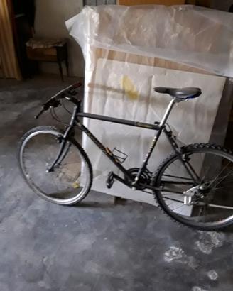 Bicicletta MTB