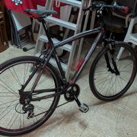 Bicicletta Lombardo Amantea 100 alluminum bike 