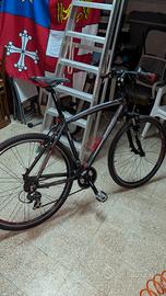 Bicicletta Lombardo Amantea 100 alluminum bike 