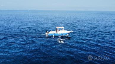 SEA PRO 238 WA – ANNO 2008