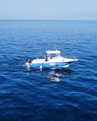 SEA PRO 238 WA – ANNO 2008