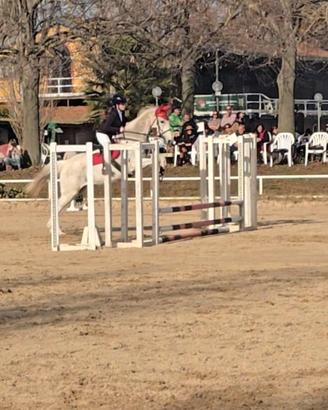 Cavallo da salto