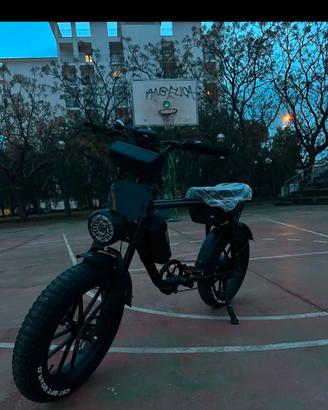 Bici elettrica 1000 wat