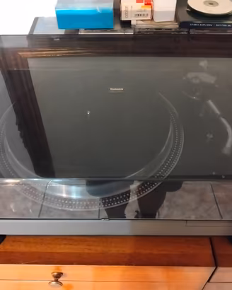 Technics SL 1100