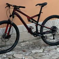 Mountain Bike Full Specialized Tg 29. BUONO STATO