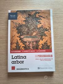 Latina arbor_ Grammatica (N.A. Flocchini/ Bacci)