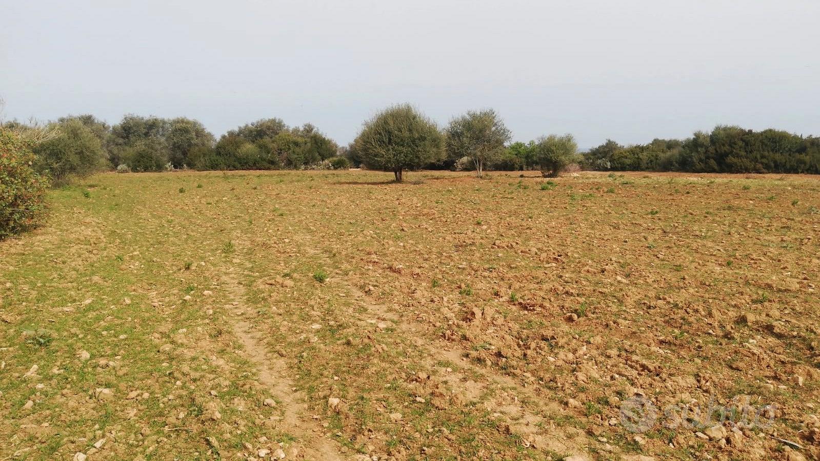 Terreno edificabile - Vista 3
