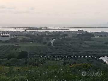 Terreno agricolo 9500 mq2 in contrada Amafi