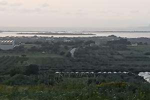 Terreno agricolo 9500 mq2 in contrada Amafi