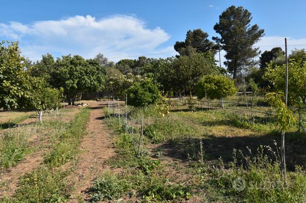 Terreno agricolo