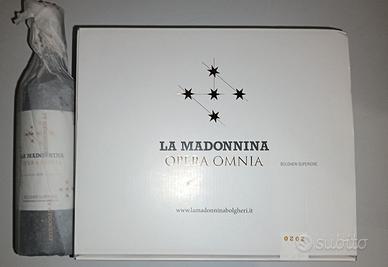 vino Bolgheri superiore la madonnina 