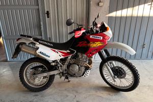 dominator 650