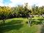 Immagine 26