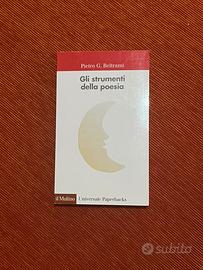 📚📖 Gli strumenti della poesia: scrivi da poeta🤩✍️