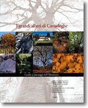  I GRANDI ALBERI DI CARIADEGHE