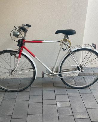 Bicletta uomo 28