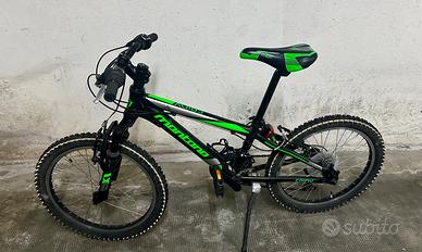 Bici bambino