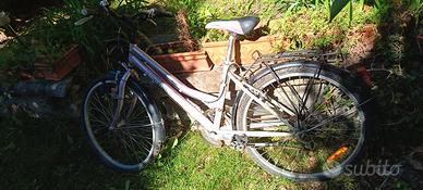 Mountain bike ruota 24