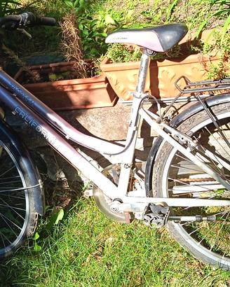 Mountain bike ruota 24