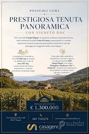 Cuma prestigiosa tenuta con vigneto doc
