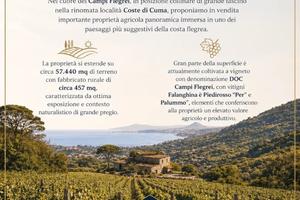 Cuma prestigiosa tenuta con vigneto doc