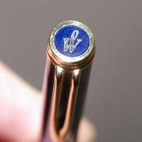 Penna Stilografica Waterman Gentleman  lacca blue