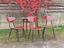 Immagine 13