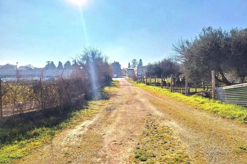 Immobile in asta di 14062 m² a Appignano - Vista 4