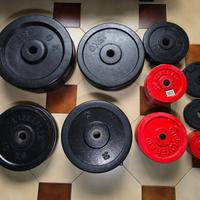 Attrezzatura e dischi per palestra
