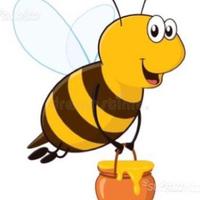 Apicoltura Ape Regina