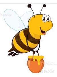 Apicoltura Ape Regina