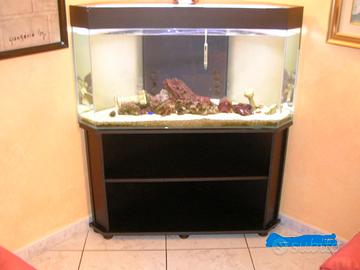 Acquario angolare  250 litri