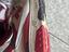 Immagine 4