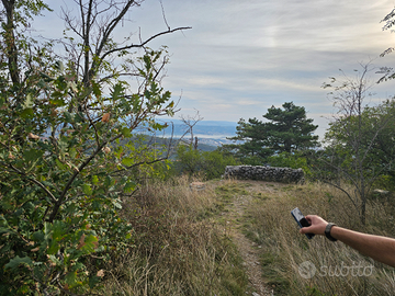 Terreno boschivo 5.050 mq