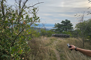 Terreno boschivo 5.050 mq